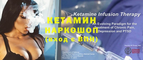 крисы Баксан