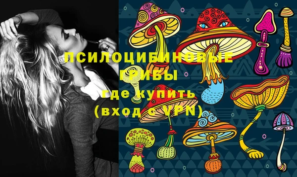 крисы Баксан