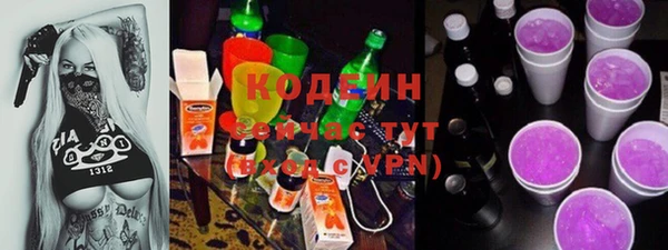 крисы Баксан