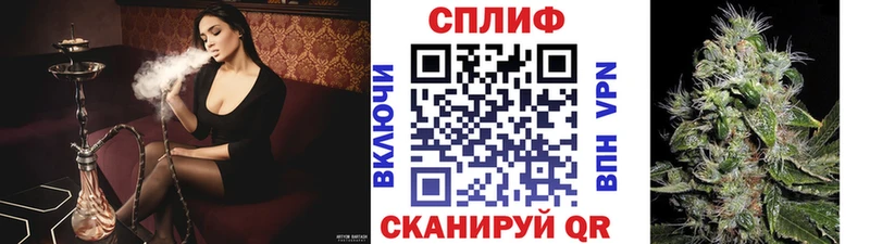 Бошки Шишки MAZAR  кракен онион  Вязьма  где продают наркотики 